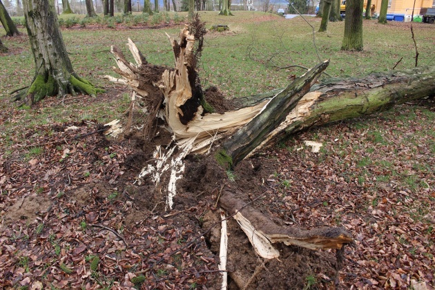 vitr poskodil park detskeho domova KR-VYS