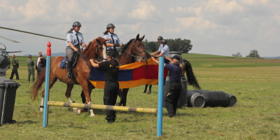 den s policii hencov 17062014